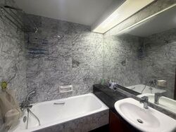 The Clearwater (D16), Condominium #559110921